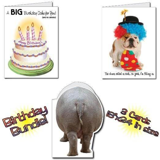 18"x24" BIG Funny Birthday Greeting Card Set of 6