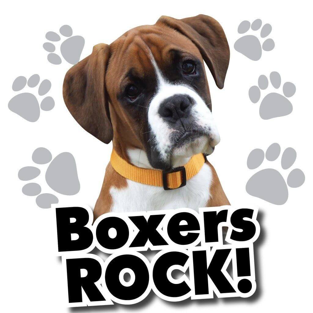 Boxers Rock! White T-Shirt - Image 2