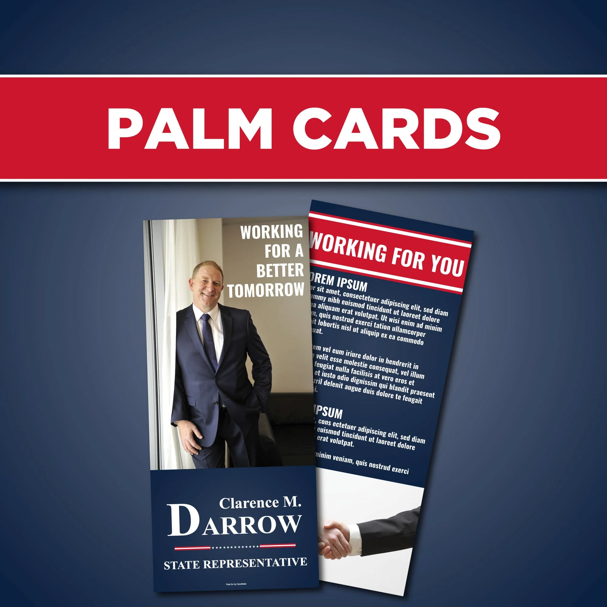 Candidate Campaign Starter Kit - Image 3
