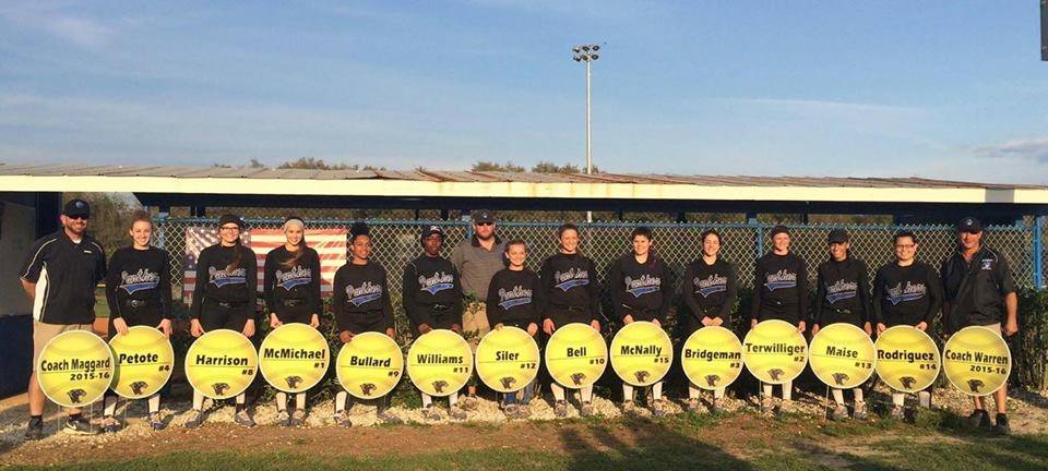Custom Softball Player Name, Number and Mascot Fence & Yard Signs - Image 5