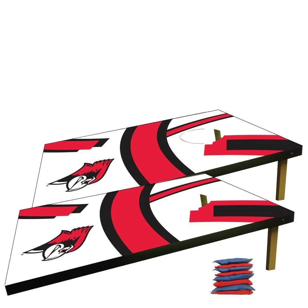 Illinois State Cornhole Bag Toss - Image 5