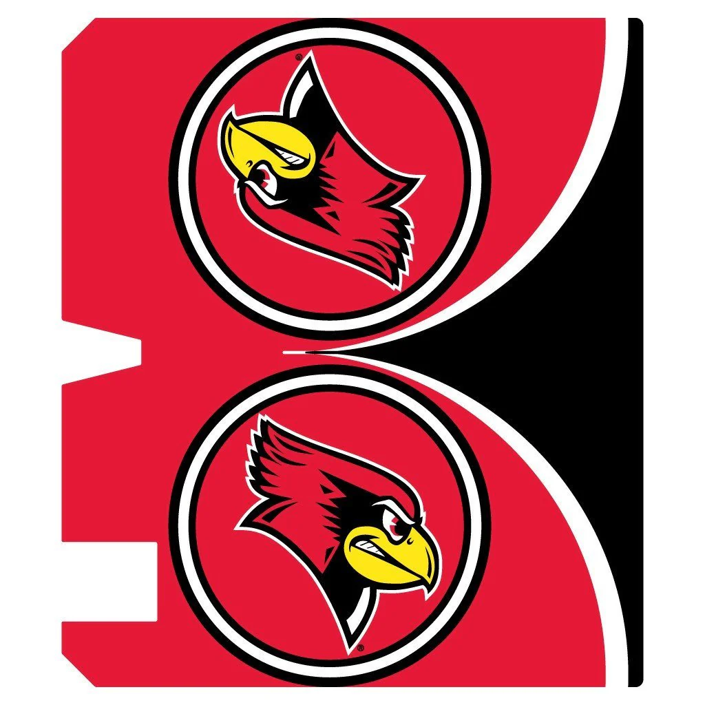 Illinois State Circles Magnetic Mailbox Cover - Image 3