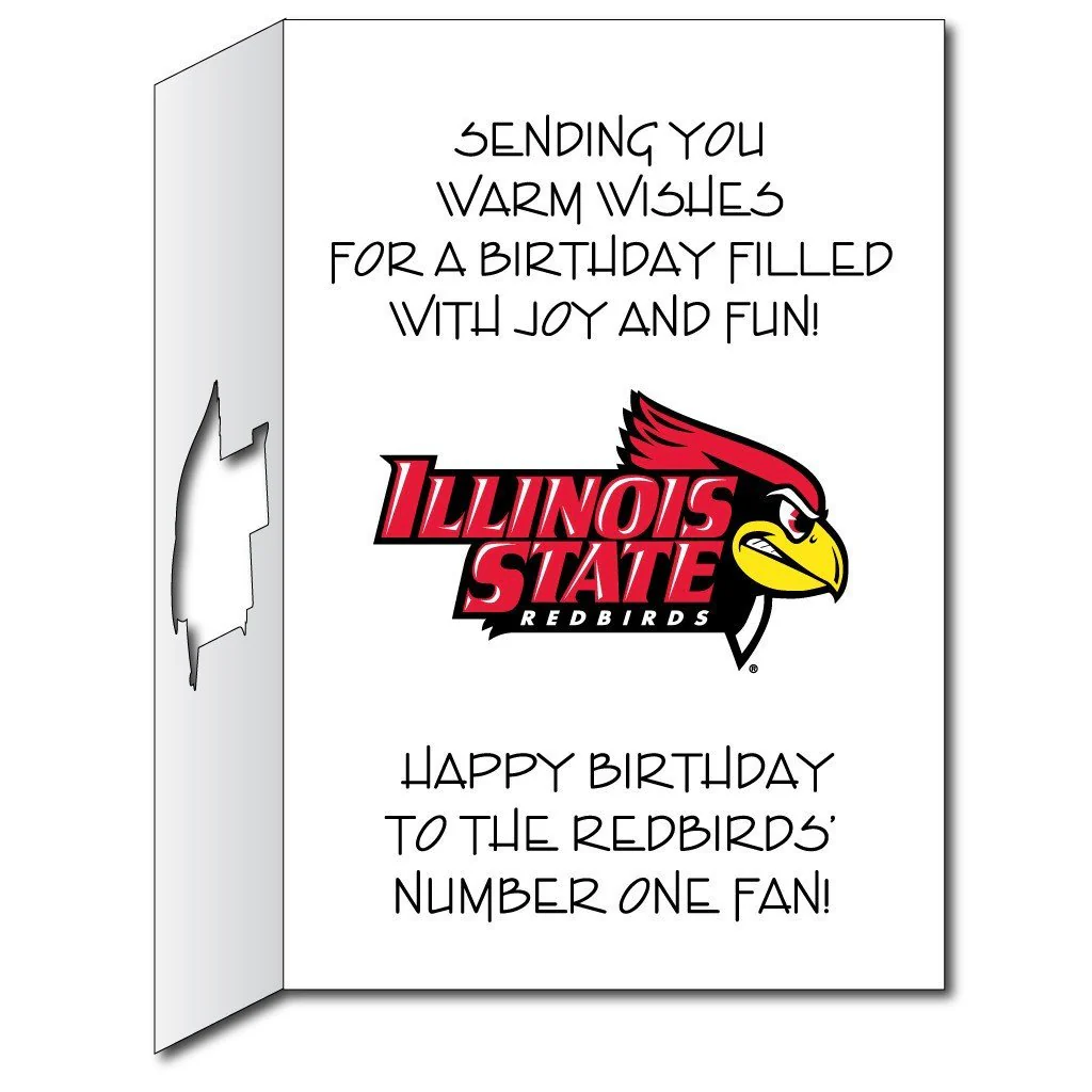 2'x3' Giant Illinois State Birthday Card and Yard Sign - Image 3