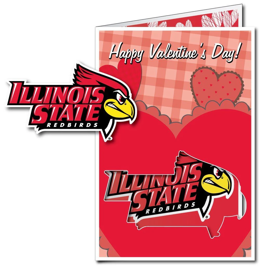 2'x3' Giant Illinois State Valentine's Day Card & Yard Sign - Image 3