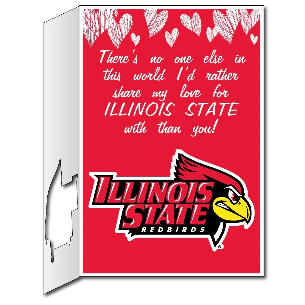 2'x3' Giant Illinois State Valentine's Day Card & Yard Sign - Image 4