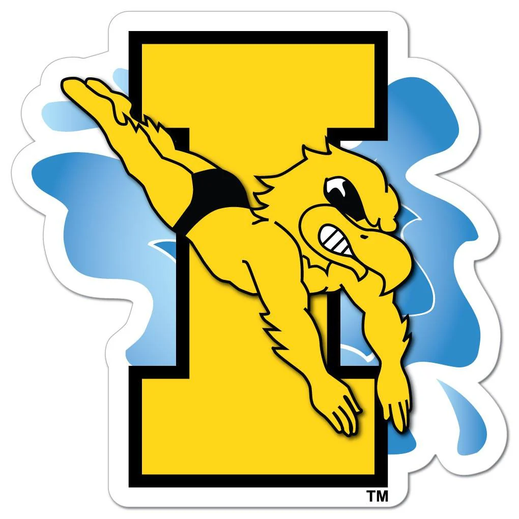 11.5" Iowa Hawkeye Herky Swimming Car Magnet - Image 2