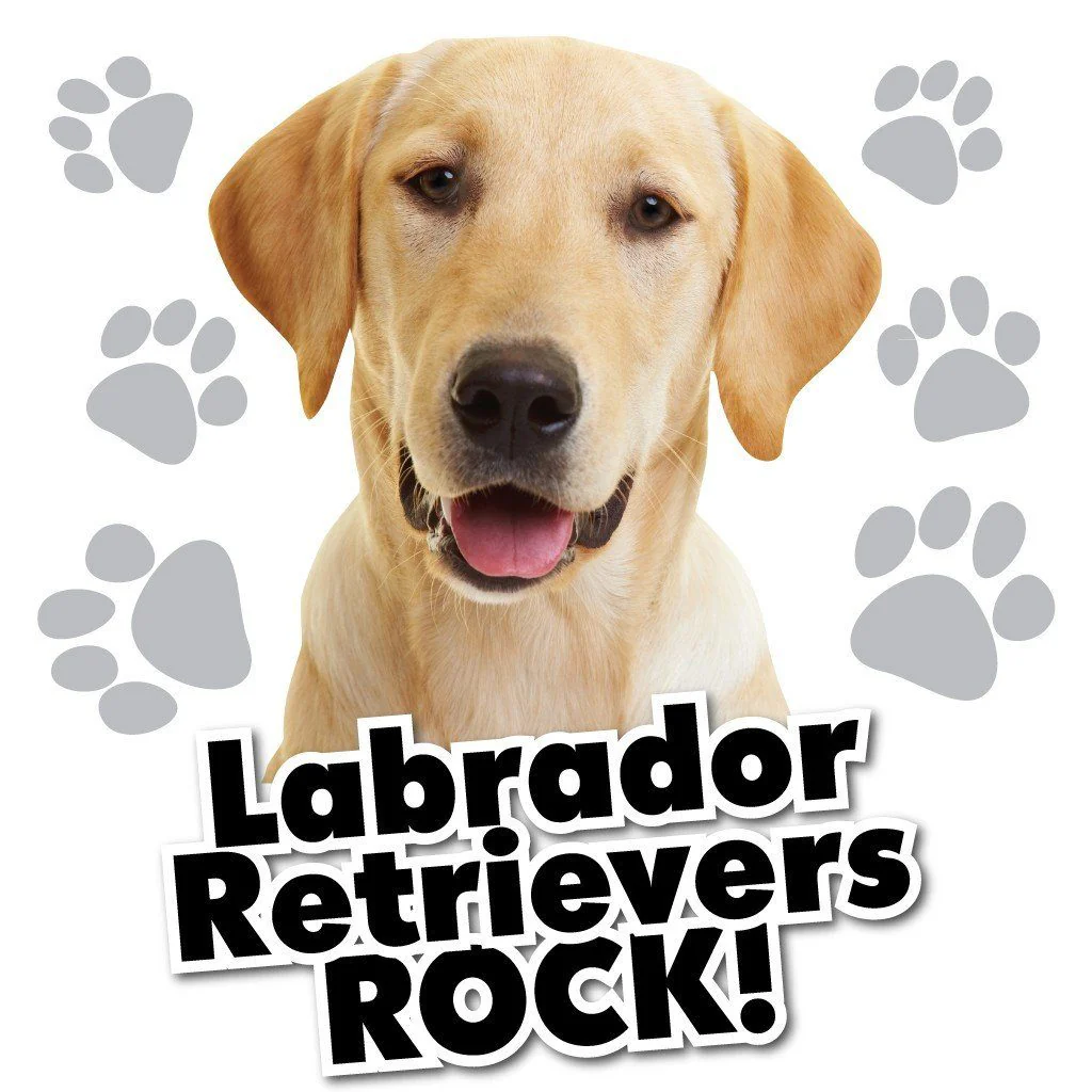 Labrador Retrievers Rock! White T-Shirt - Image 2