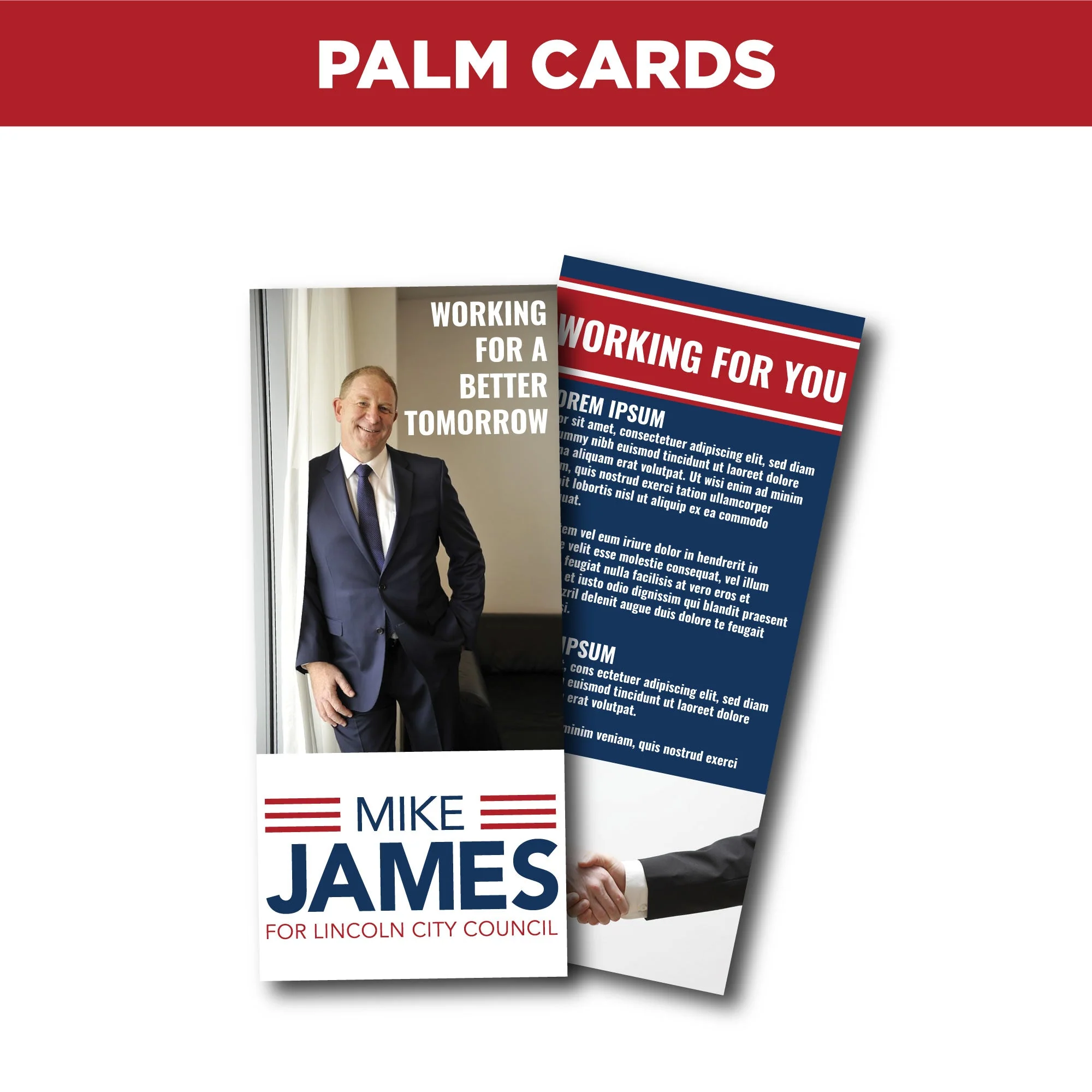 Large Campaign Package - Image 7