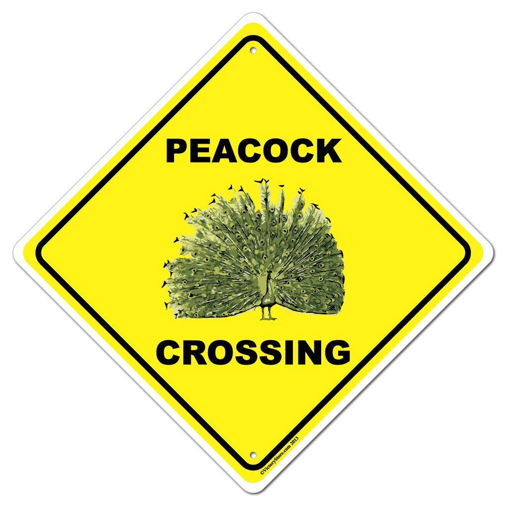 Peacock Crossing Sign or Sticker - Image 3
