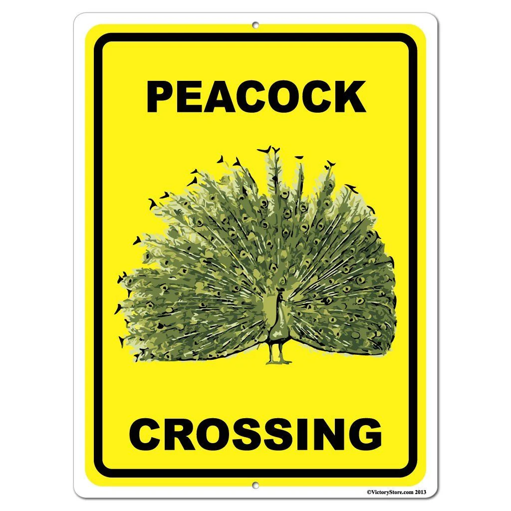 Peacock Crossing Sign or Sticker - Image 7