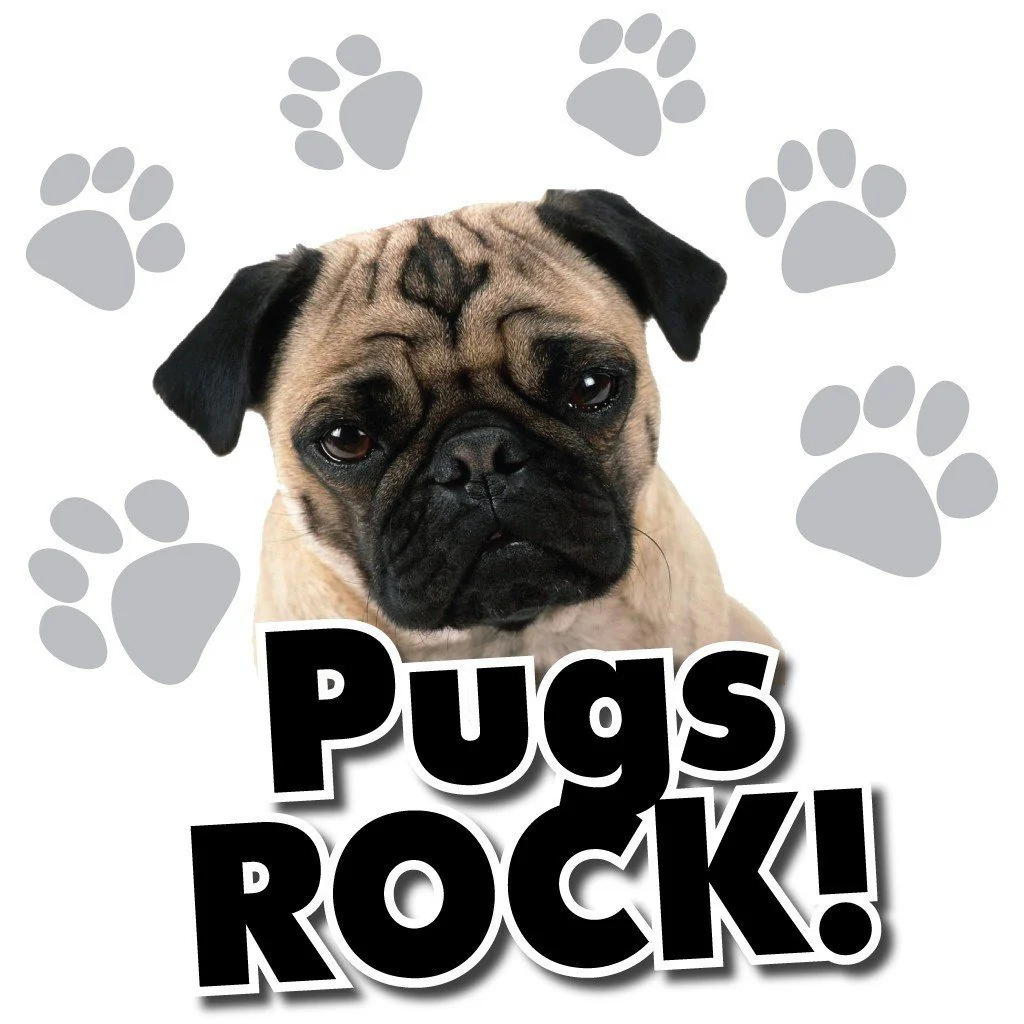 Pugs Rock! White T-Shirt - Image 2