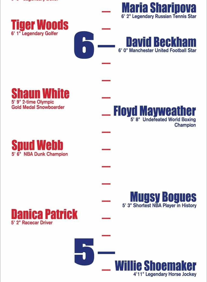 Sports Legend Growth Chart - Image 3
